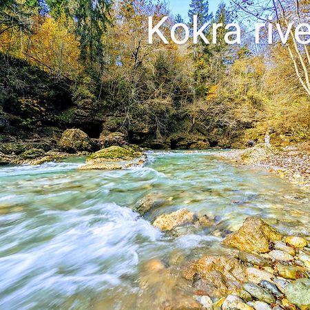 Domen'S Cozy Rentals Kranj Exteriér fotografie