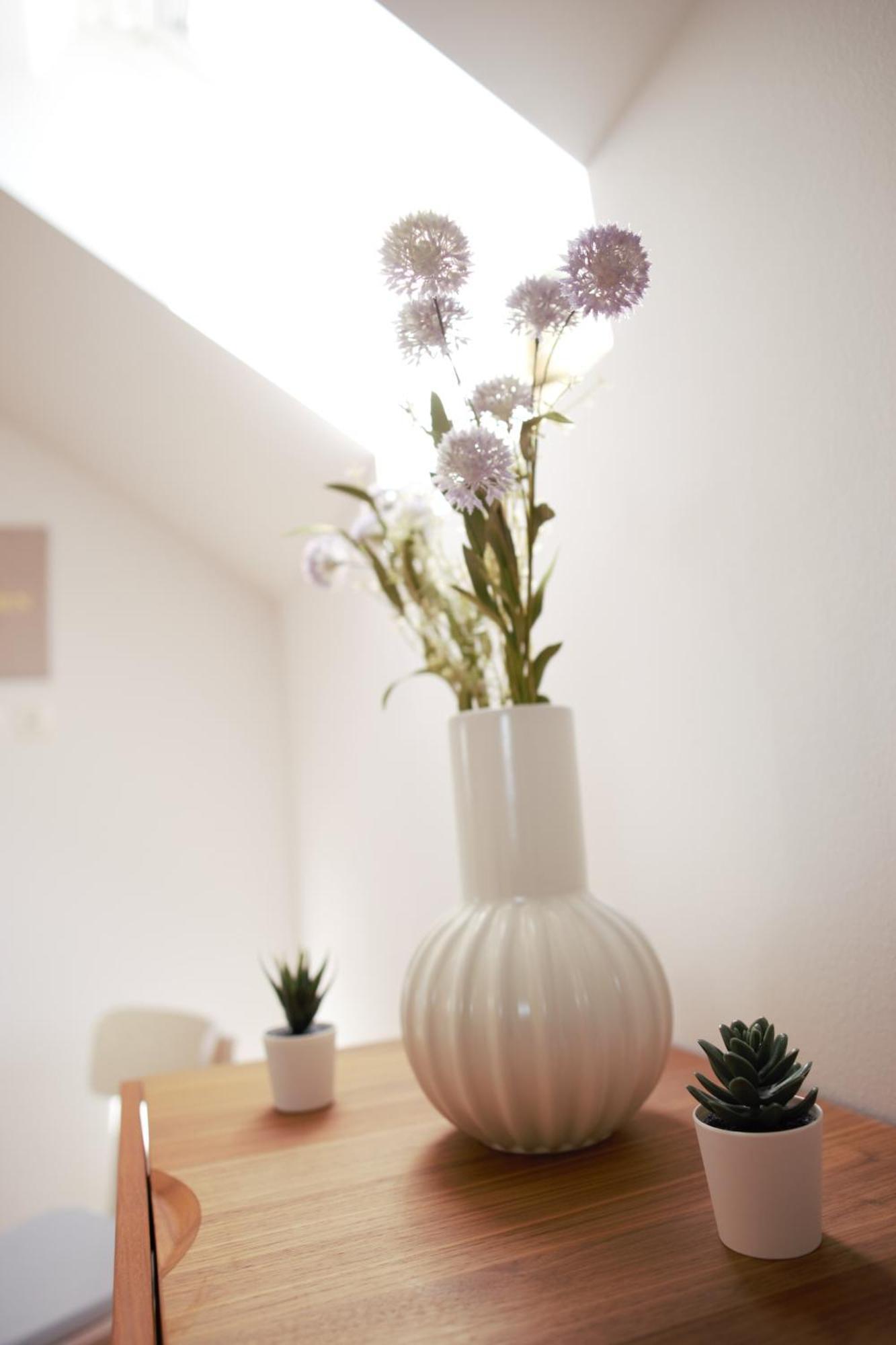 Domen'S Cozy Rentals Kranj Exteriér fotografie
